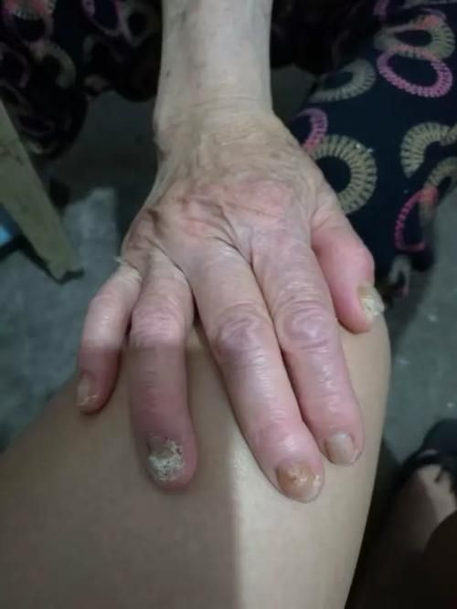 想看岳母最新更新？这里有地址！