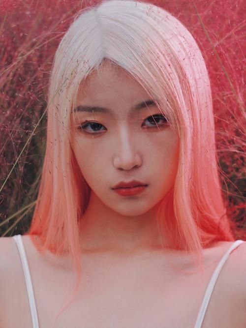 想知道自大辣妹家庭教学最新版本？这里有你想要的答案