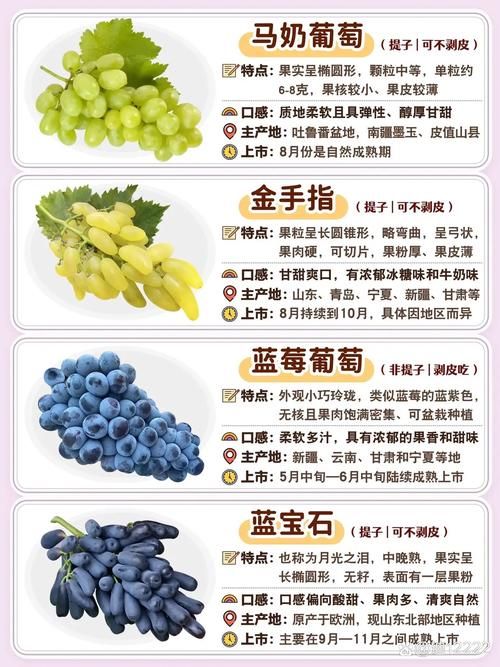 想知道葡萄成熟时最新版本?这里有你想要的答案 想知道葡萄成熟时最新版本?这里有你想要的答案