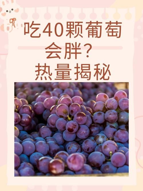 想知道葡萄成熟时最新版本?这里有你想要的答案 想知道葡萄成熟时最新版本?这里有你想要的答案