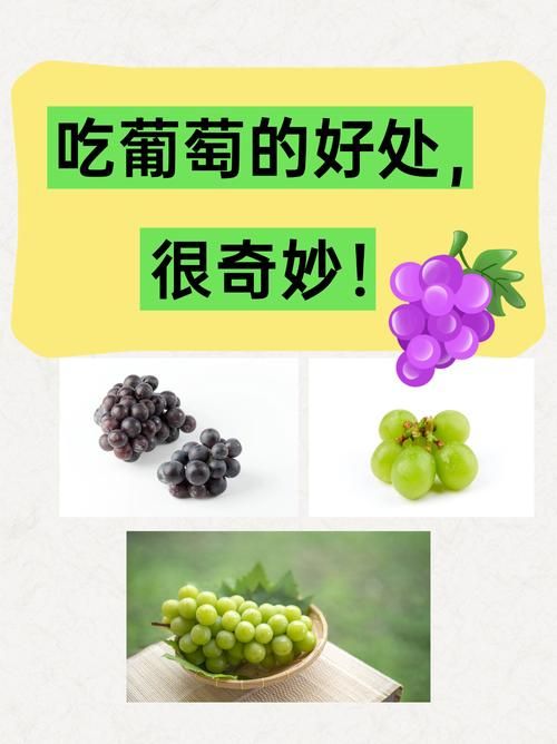 想知道葡萄成熟时最新版本?这里有你想要的答案 想知道葡萄成熟时最新版本?这里有你想要的答案