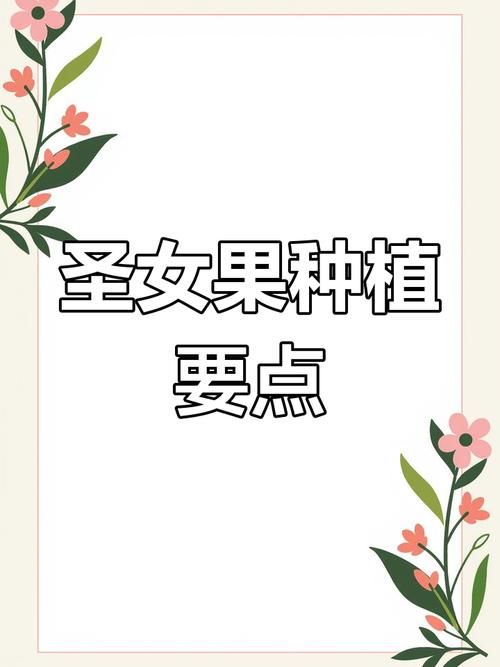 想种好苗床圣女？最新实用技术都在这里