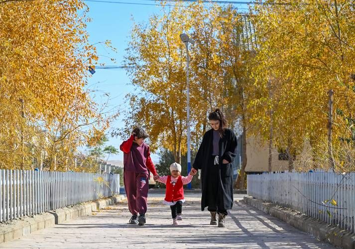 我很荣幸:最新动态及背后的故事分享 我很荣幸:最新动态及背后的故事分享