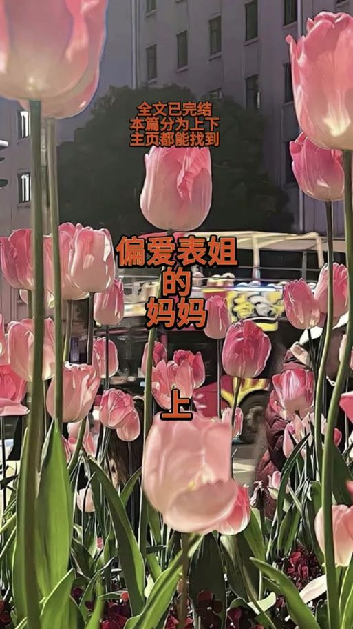 我的可爱表姐2官网正版下载：免广告安全无病毒