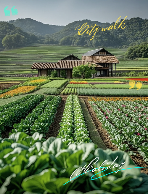 我的播种农场官方网站：体验田园生活，下载即刻开始