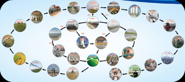我的播种农场最新消息：你不知道的隐藏玩法和作弊技巧
