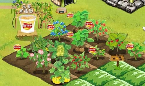我的播种农场最新版本号是多少？新手玩家必看