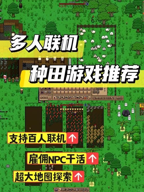 我的播种农场版本大全：下载安装及游戏攻略详解