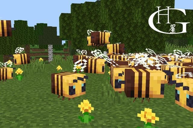 我的新邻居版本大全：选择哪个版本更适合你？