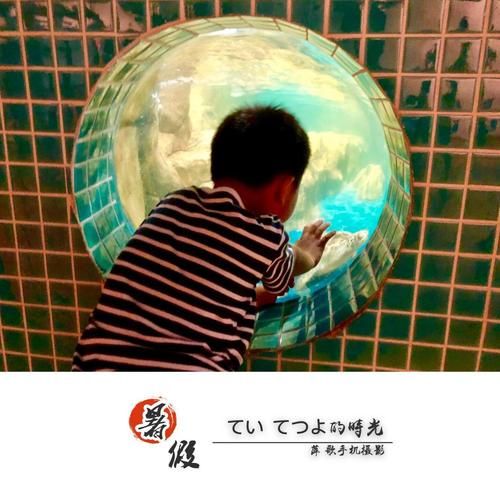 我的秘密暑假时光2游戏攻略：收集探索，解锁更多秘密！