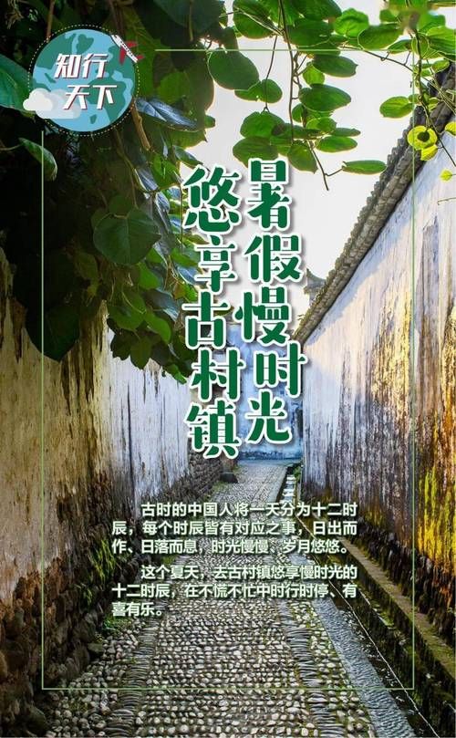 我的秘密暑假时光2版本大全：收集、探索，玩转暑假！