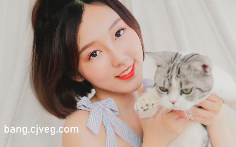 找牛奶触觉下载地址？这里有最新完整版下载链接