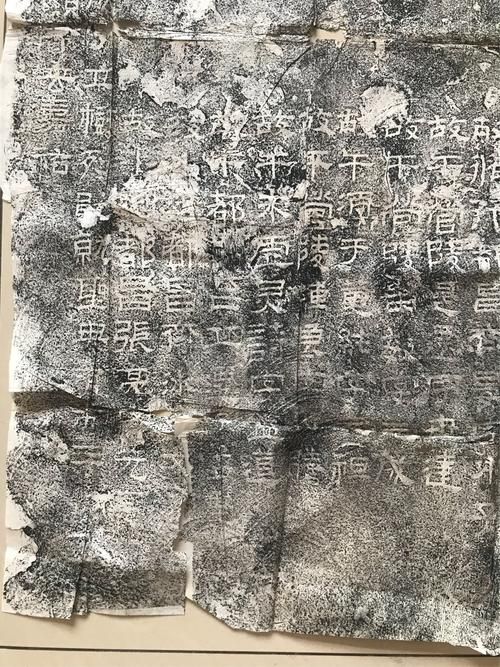 拓君和他的九个姐妹汉化版最新更新内容详解