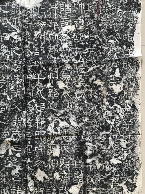 拓君和他的九个姐妹汉化版最新更新内容详解