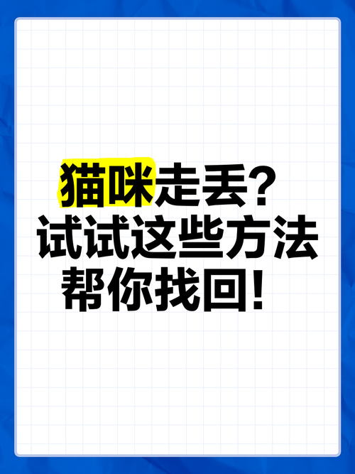 捡到千年猫下载不了?试试这些方法解决 捡到千年猫下载不了?试试这些方法解决