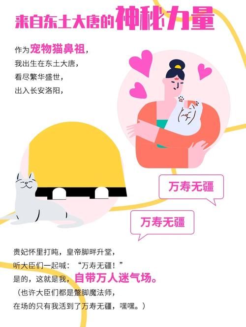 捡到千年猫下载不了?试试这些方法解决 捡到千年猫下载不了?试试这些方法解决