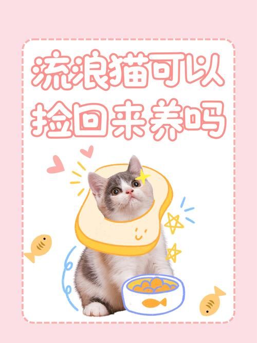 捡到千年猫官方网站入口：超萌猫咪养成手游等你来玩