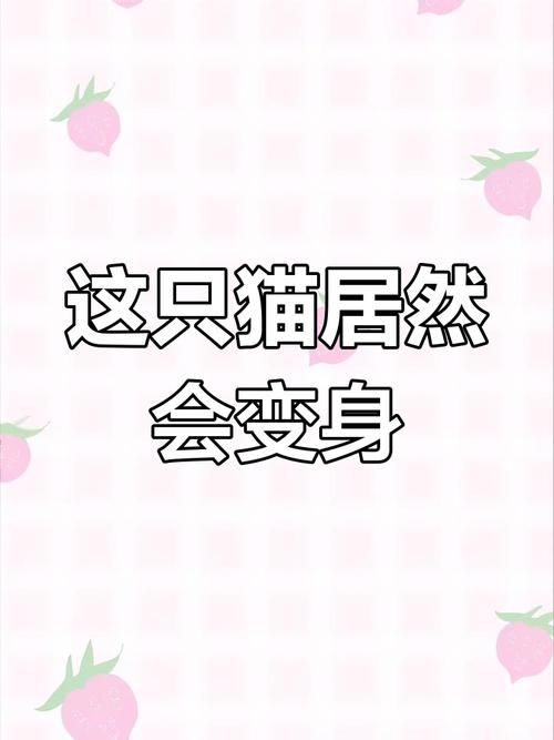 捡到千年猫更新地址在哪?最新版下载入口分享! 捡到千年猫更新地址在哪?最新版下载入口分享!
