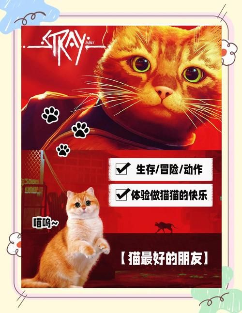 捡到千年猫最新版本：猫咪养成游戏深度体验