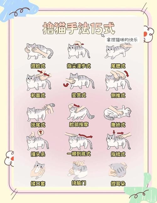 捡到千年猫游戏攻略大全：新手快速上手技巧