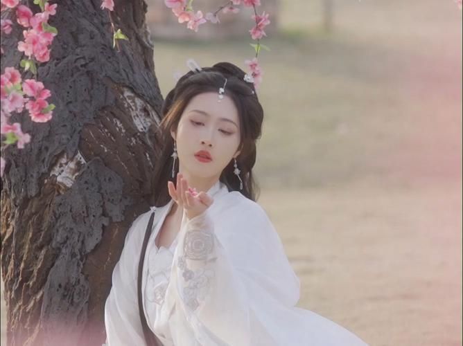 探秘重生之我在古代遇佳人：游戏官网最新资讯和玩家评论