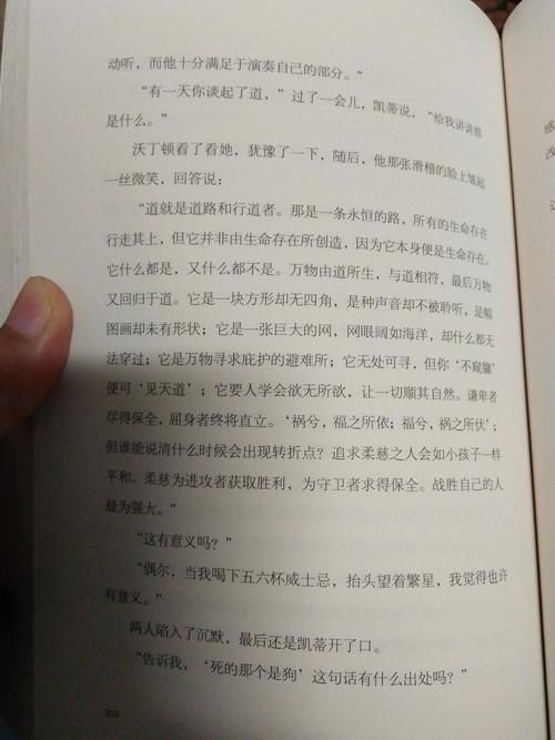 揭开未知的面纱游戏攻略：新手入门必看技巧