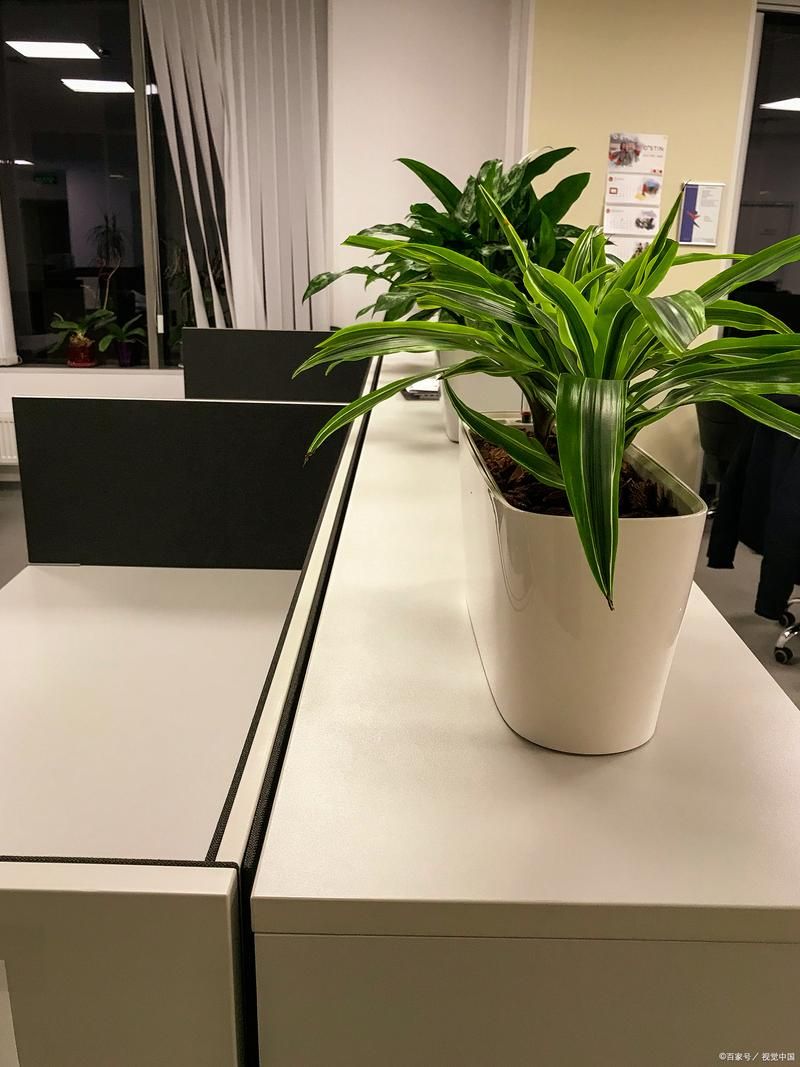 揭秘生命体V0.18b：办公室恋情，你将如何掌控全局？