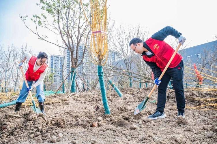 播种都市下载方法大全,简单易懂的安装步骤 播种都市下载方法大全,简单易懂的安装步骤
