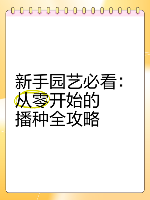 播种都市安卓版安装教程：小白也能轻松玩转的详细步骤