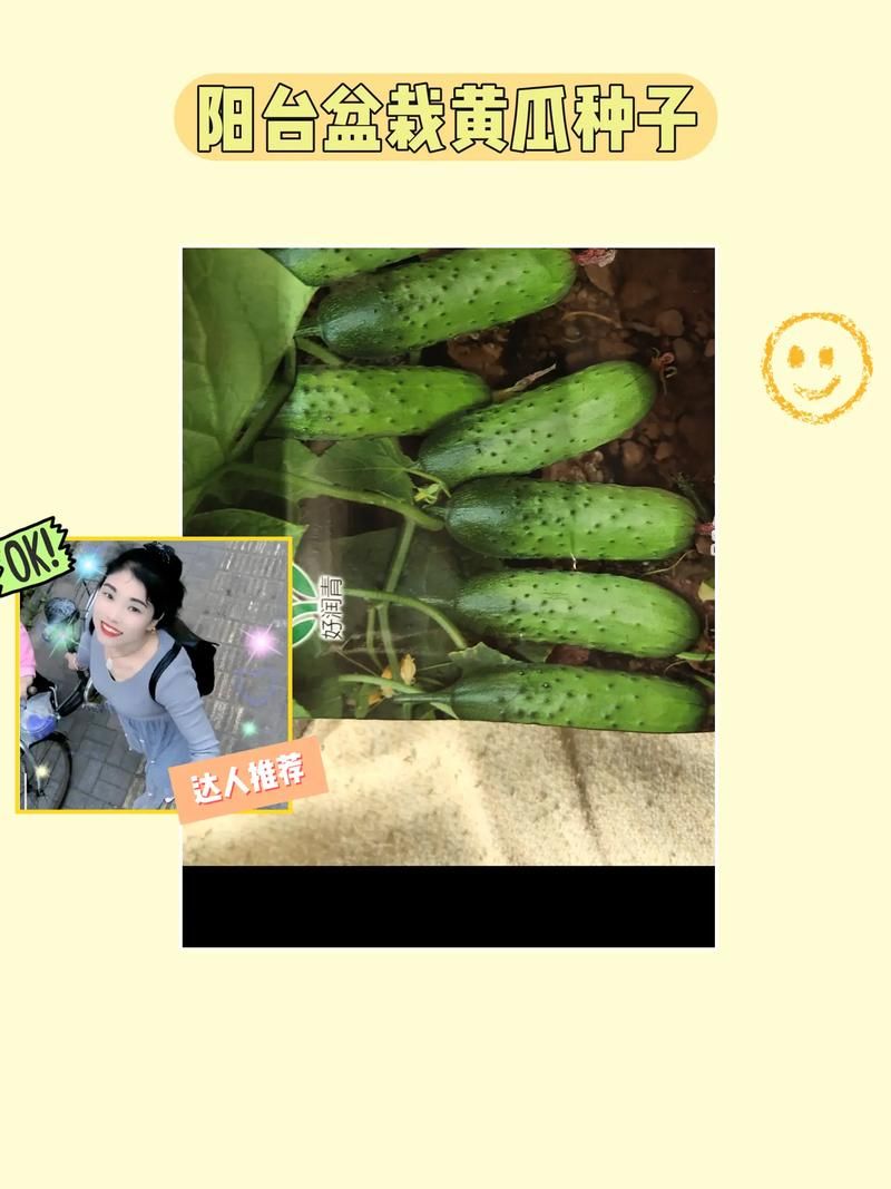 播种都市官方正式版下载最新版：安卓手机玩家必备