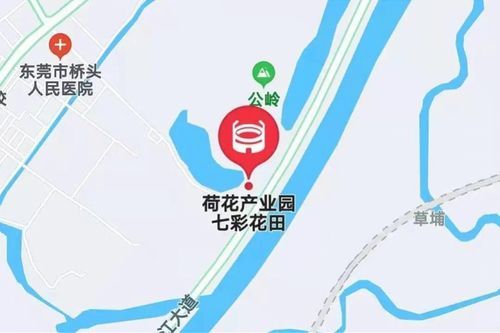 播种都市最新版本在哪下载?教你快速安装方法 播种都市最新版本在哪下载?教你快速安装方法