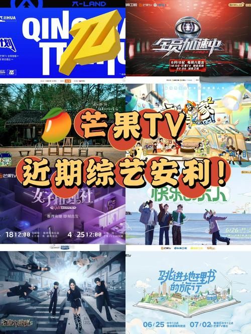 收看节目最新消息：今天有哪些好看的节目？