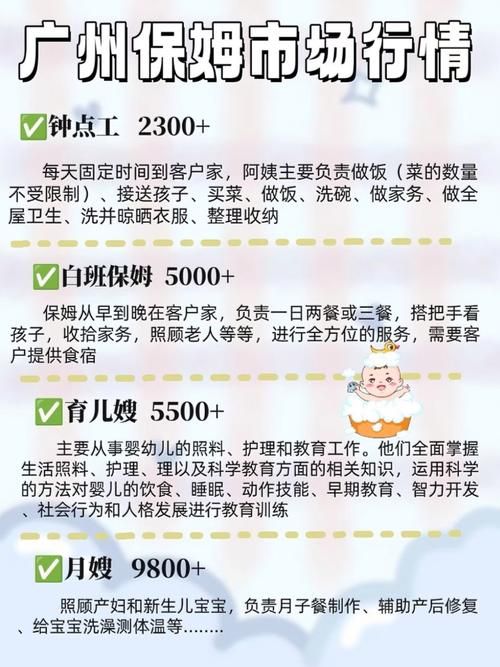 新保姆最新版本更新内容：有哪些改进？