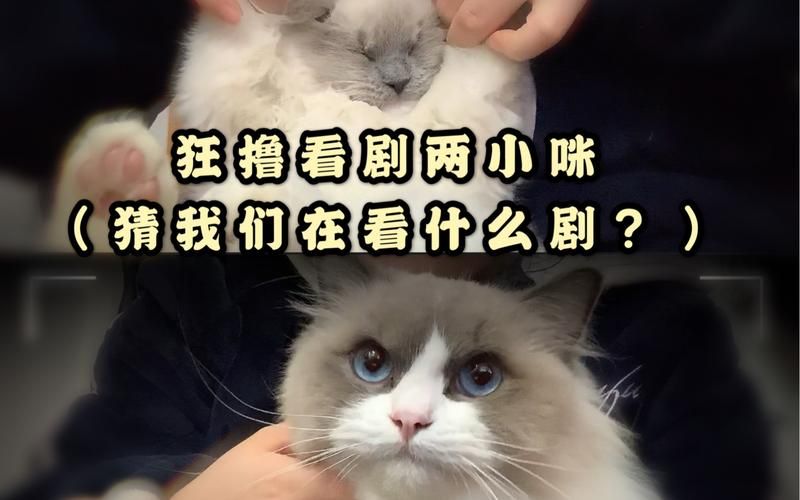 新生也疯狂第二季EP3官网完整版下载,不容错过! 新生也疯狂第二季EP3官网完整版下载,不容错过!