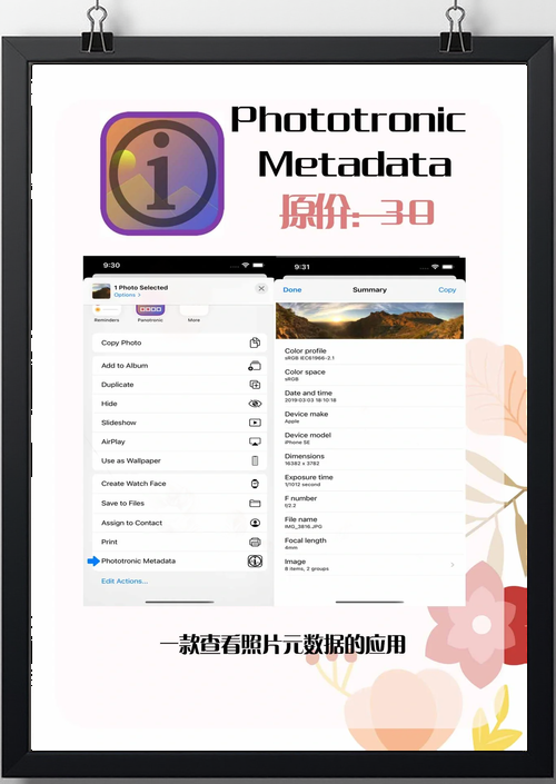 时限V0.2.1下载地址在哪？快速下载方法分享！