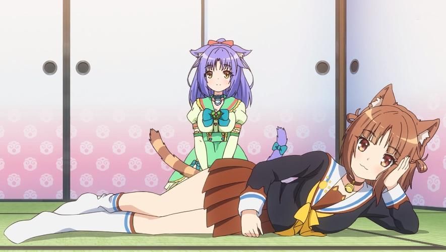 最全猫娘安卓下载资源:找到你喜欢的猫娘 最全猫娘安卓下载资源:找到你喜欢的猫娘