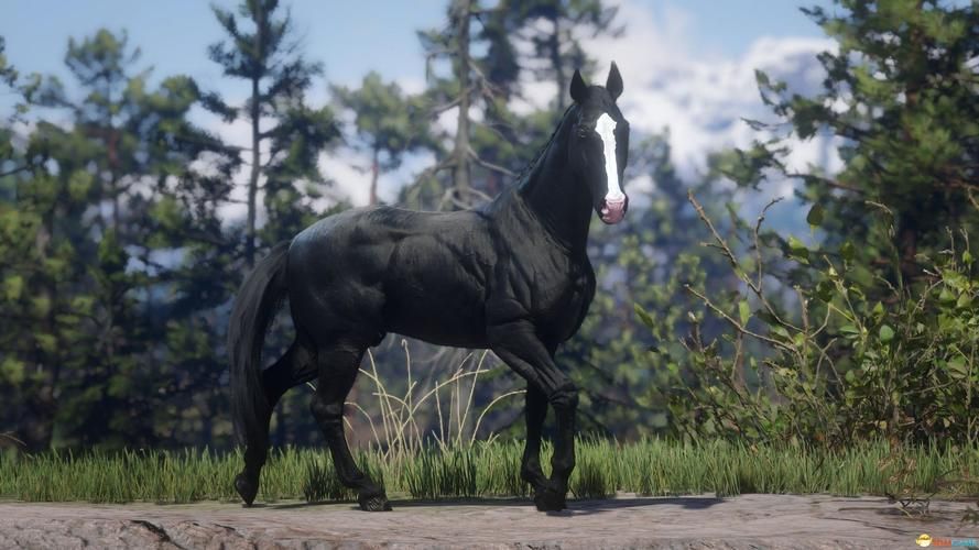 最全荒野大镖客MOD官网导航：简单易用，快速找到所需MOD