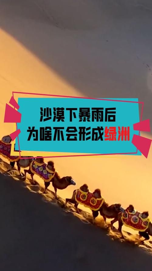 最后绿洲最新消息：新赛季来袭，精彩内容抢先看！