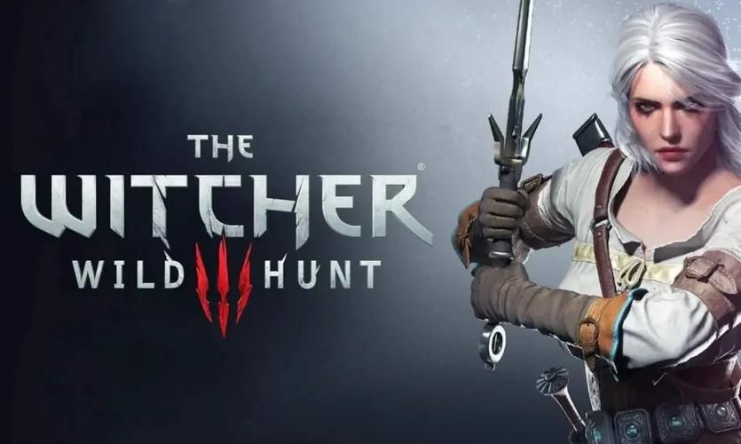 最强巫师3狂猎魔改安卓版：沉浸式体验，等你来战！