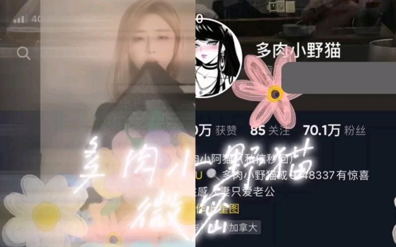 最新小野猫N汉化版更新内容：值得下载吗？