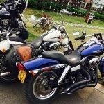 最新忠诚的妻子汉化版下载：玩家好评如潮，不容错过