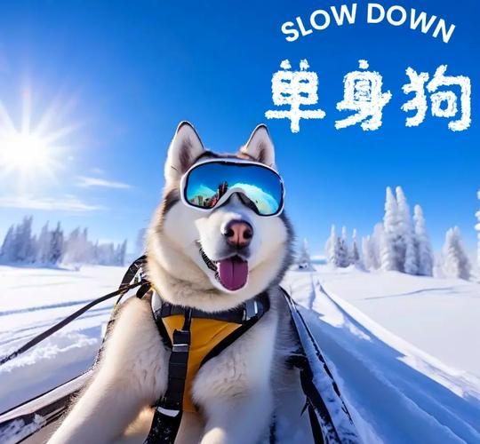 最新撩妹模拟器版本体验：单身狗的恋爱秘籍