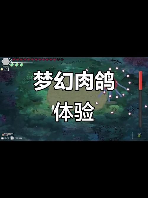 最新森海幻梦游戏下载，体验梦幻般游戏世界