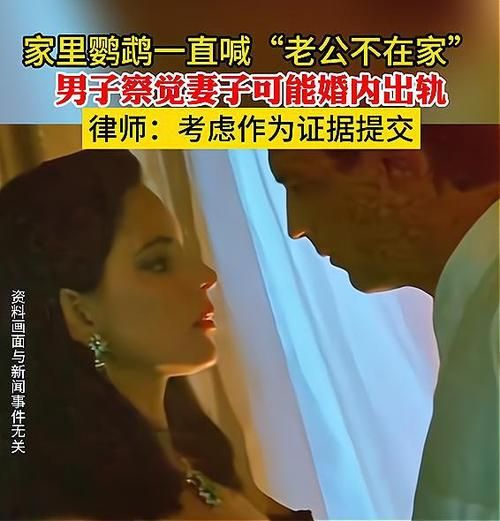 最新汉化版忠诚的妻子：更新内容详解及下载地址！