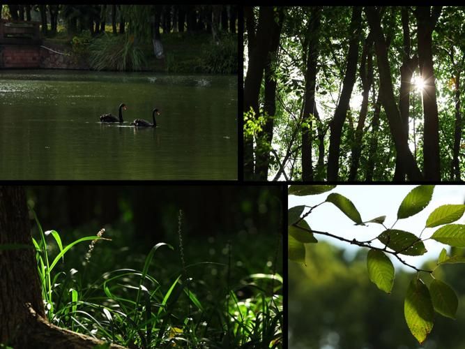 最新炙热的岛国生活版本：解锁全新剧情，体验更丰富的岛屿生活