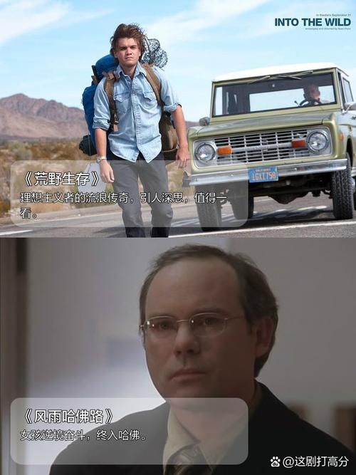 最新版妻子的困境官方正式版下载，不容错过