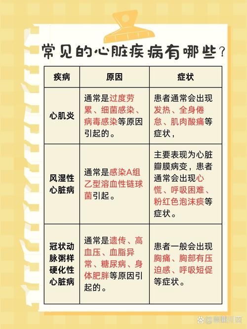 最新版心脏问题详解：常见症状及应对方法