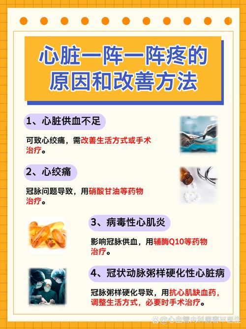 最新版心脏问题详解：常见症状及应对方法