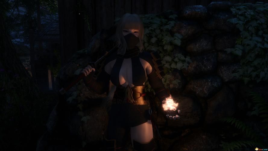 最新版忍堕女忍调教游戏下载：官方正式版资源免费获取