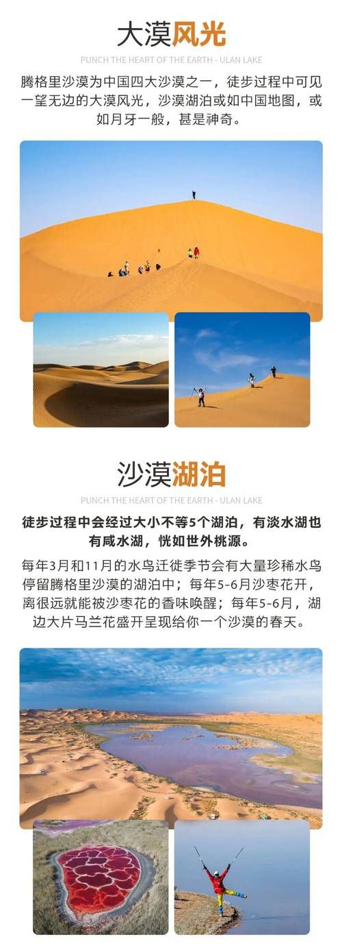 最新版沙漠潜行者下载，避免踩坑的实用指南